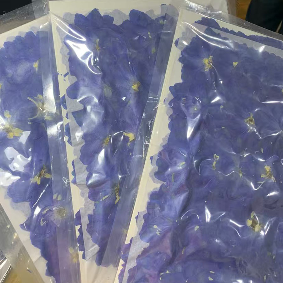 Dried Flower Bookmark - 1000 szt. Suszone, prasowane, duże kwiaty