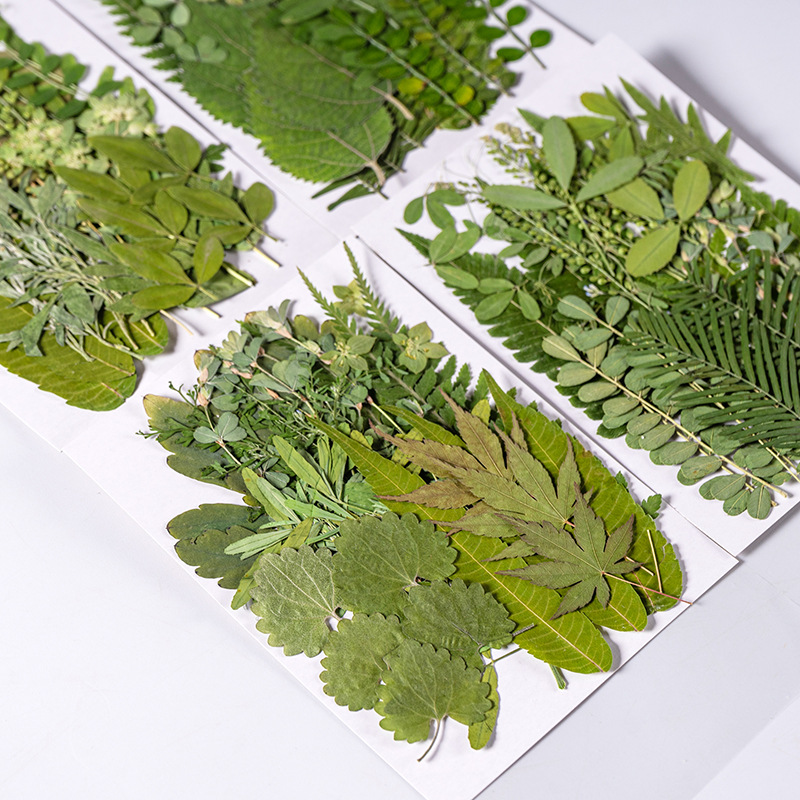 1Zestaw 35szt Prasowane suszon – Dried Flower Bookmark recenzja i cena