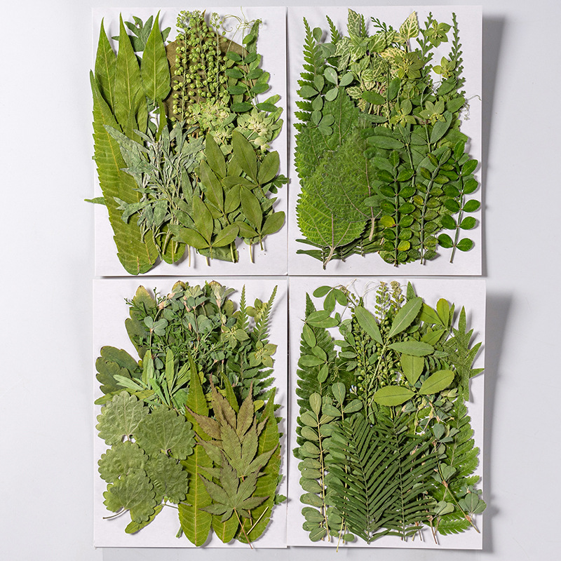 1Zestaw 35szt Prasowane suszon – Dried Flower Bookmark recenzja i cena