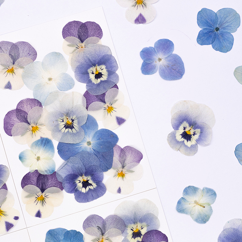 12 szt., Prawdziwe suszone kwi – Dried Flower Bookmark recenzja i cena