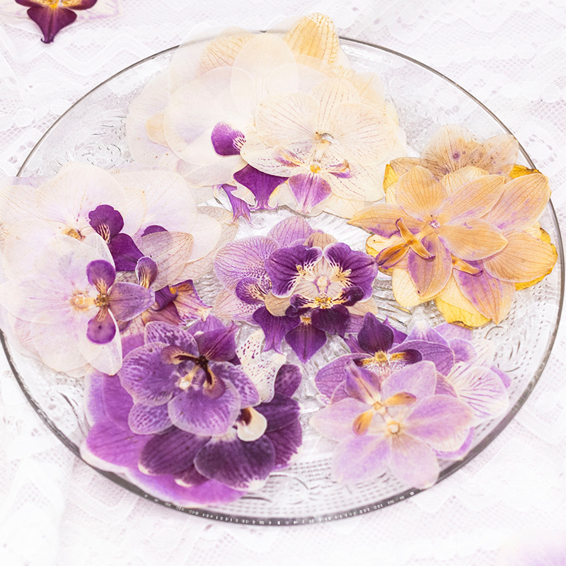 4 szt. Suszone, prasowane kwia – Dried Flower Bookmark recenzja i cena