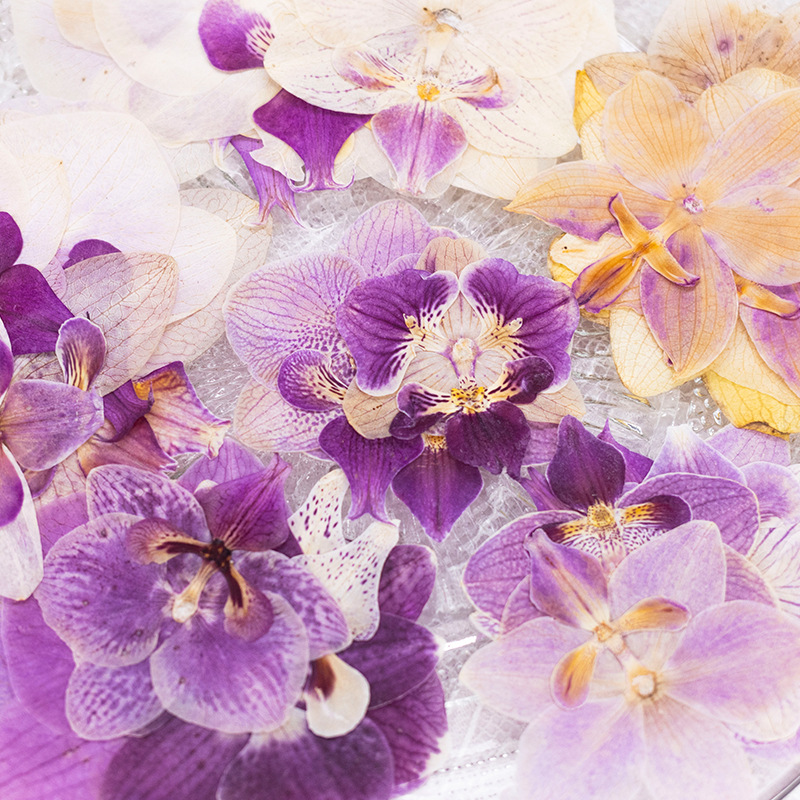 4 szt. Suszone, prasowane kwia – Dried Flower Bookmark recenzja i cena
