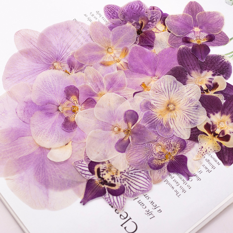 4 szt. Suszone, prasowane kwia – Dried Flower Bookmark recenzja i cena