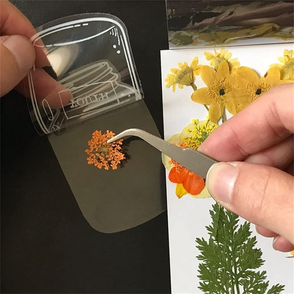 30 sztuk przezroczyste suszone – Dried Flower Bookmark recenzja i cena